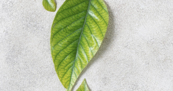 CLEAN SPACES, SMALLER FOOTPRINTS
		

Earlier this month, World Environment Day yet again highlighted